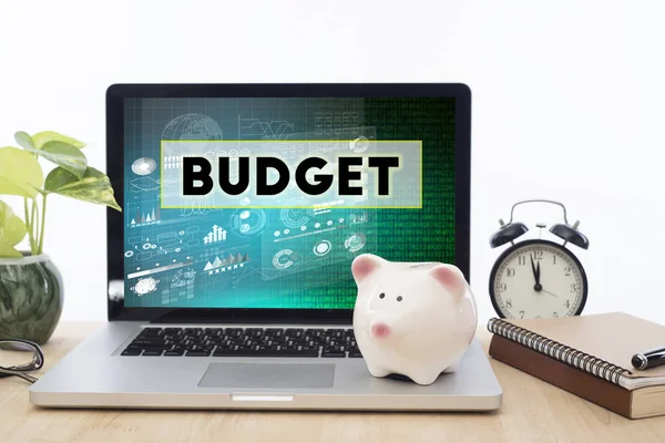 Página de inicio del presupuesto en la pantalla del ordenador en el lugar de trabajo . — Foto de Stock