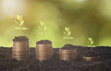 Sikke para yığını üzerinde büyüyen bitki tohum tohum. 