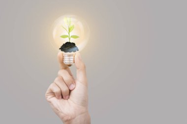 ampul ağacına gri arka plan üzerinde tutan el. 