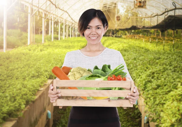 Portret van een lachende personeel vrouw houden van houten doos met verse — Stockfoto