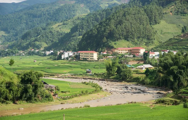 Tarım yeşil pirinç tarlaları ve dağda teraslı pirinç — Stok fotoğraf