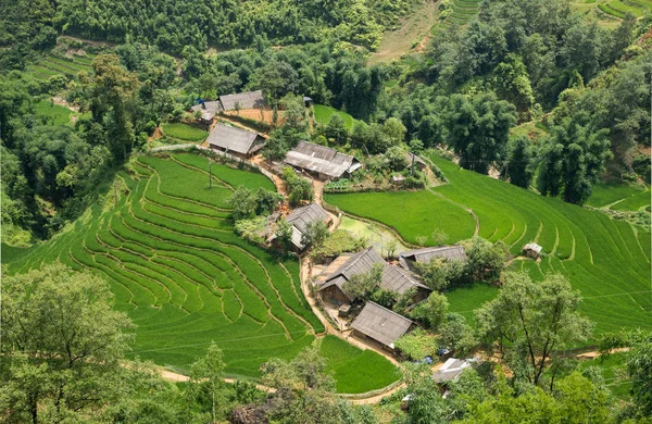 Agricultura Campos de arroz verde y arroz en terrazas en la montaña — Foto de Stock