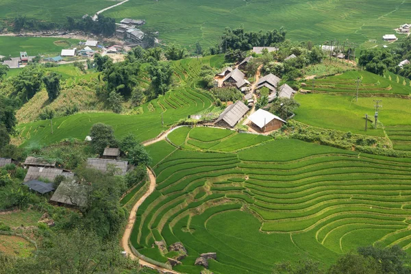 Zemědělství zelená rýžová pole a rýže terasovitě na hoře — Stock fotografie