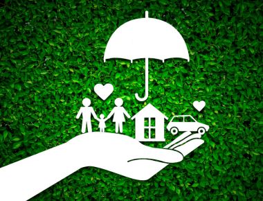 Aile Koruma yeşil holding kağıt satıcısı Ajan el