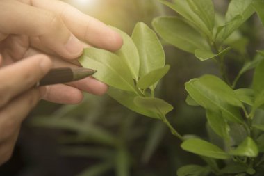 El ve turuncu yaprak hapiste olan biyoteknoloji bilim adamı 