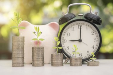 madeni para ile ağaç ve kumbara yeşil bokeh ışık arka plan üzerinde kazık
