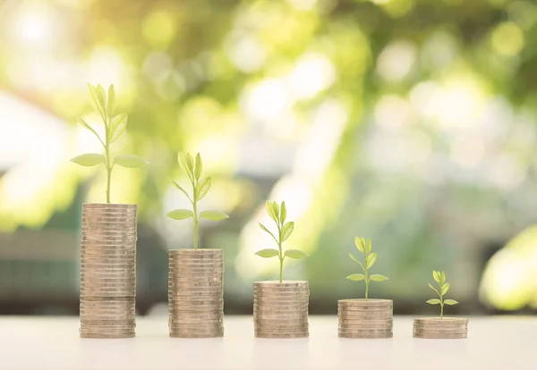 Stapelmünze mit Baum und grünem Bokeh-Licht Hintergrund. — Stockfoto