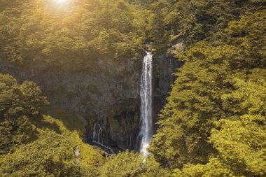 Nikko, ulusal parkında yer alan Kegon şelale Japonya.