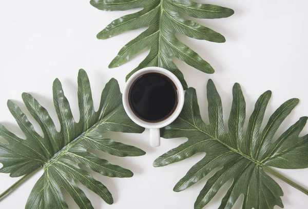 Üstten Görünüm düz beyaz yeşil yaprakları ile kahve fincan göklere — Stok fotoğraf