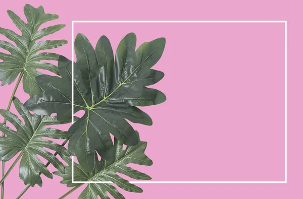 Плоская укладка, рама из листьев на розовом фоне — стоковое фото