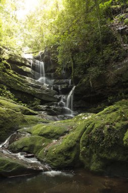 Yağmur ormanlarında yeşil yosun ile şelale 