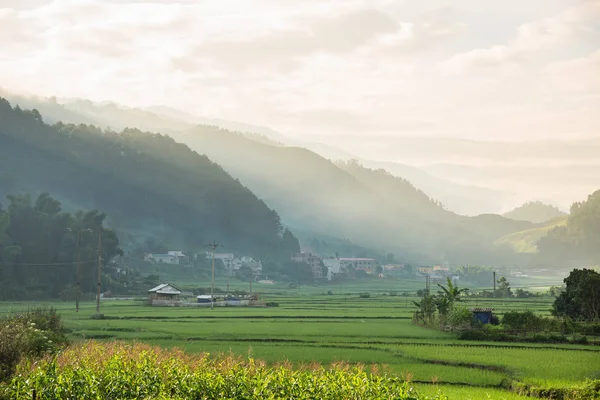 Agriculture Riz vert et riz en terrasses avec coucher de soleil — Photo