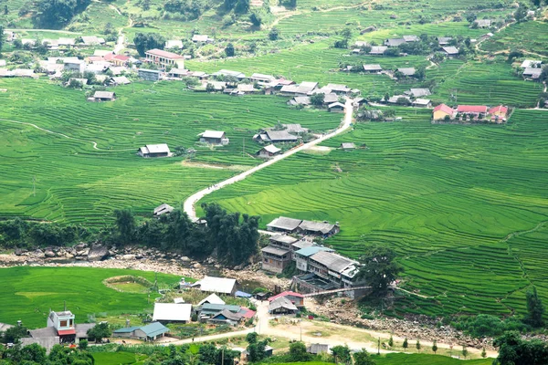 Landwirtschaft grüne Reisfelder und Reisterrassen am Berg — Stockfoto