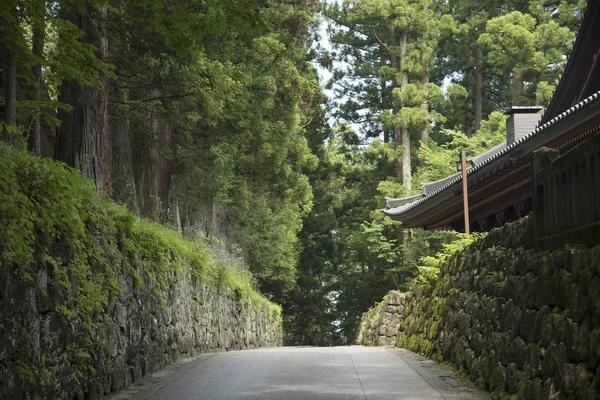 自然走道在春天去庭院在日本. — 图库照片