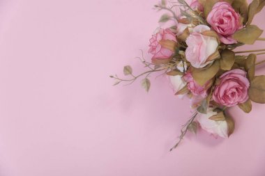 pembe Gül çiçek pembe bir arka plan üzerinde. Sevgililer için kopya alanı 