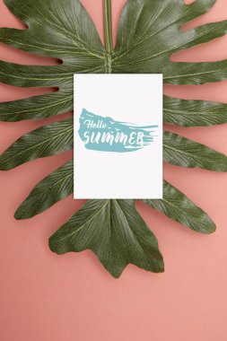 Üstten Görünüm kağıt mockup şablon doğa tropikal monstera palm 