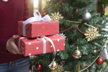 Kadınlar yılbaşı ve yeni yıl konsepti için Noel ağacı arka planında kırmızı hediye kutusuyla el ele tutuşuyorlar..