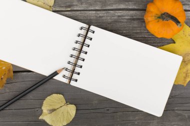 Boş açık defter ile sonbahar kompozisyon 