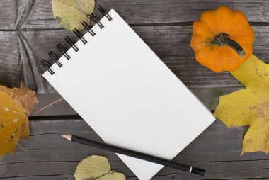 Yaprakları ve kabak boş defter ile sonbahar kompozisyon düşmüş