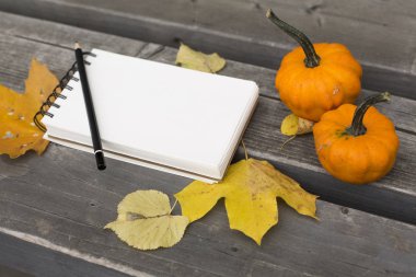  Defter ve kabak Park ile sonbahar kompozisyon bırakır