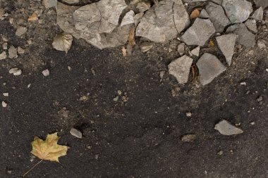 Karanlık sonbahar nemli sıva parçaları ile zemin