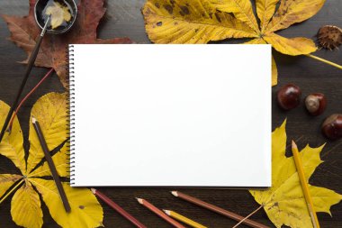 Boş albüm ve düşen yapraklar sonbaharda kompozisyonu