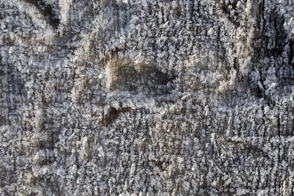 Mooie Frost Kristallen Oude Grijze Hout Macro Textuur Achtergrond — Stockfoto