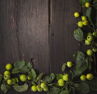 Desen, png, elma ağacı, beyaz arkaplan, bahar yaprakları, bahar