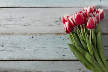 Aziz Valentine, Anneler Günü, laleler, lale soğanları, çiçekler, hediyeler, çiçekler, lale çiçekleri, kalp sembolleri, ahşap zemin