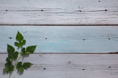 Ahşap döşeme, kabuk soyma, ahşap doku arka plan, leke, eski duvar kağıdı.