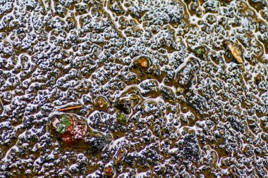 Yağmurdan sonra Sonbahar Gösterimler