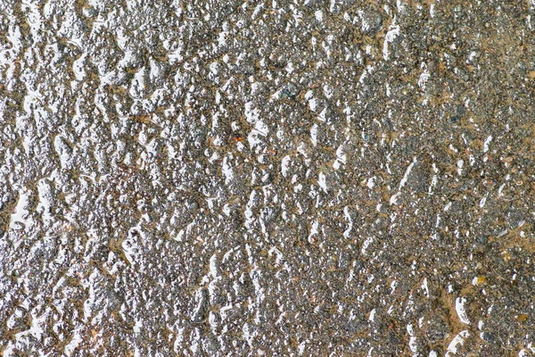 Yağmurdan sonra Sonbahar Gösterimler