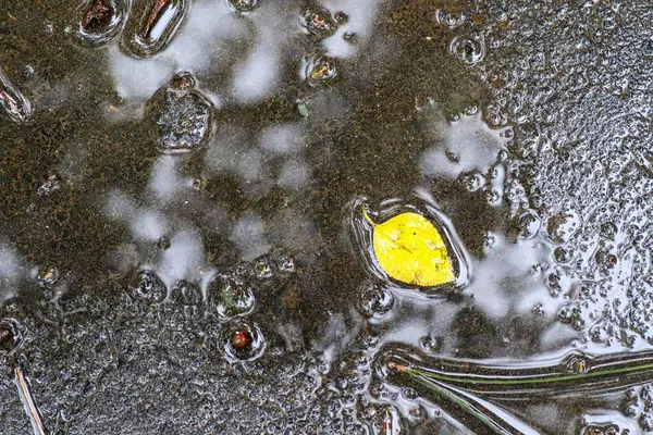 Yağmurdan sonra Sonbahar Gösterimler