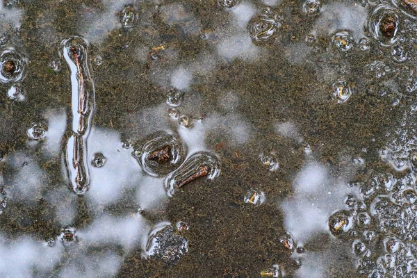 Impressões de outono após a chuva — Fotografia de Stock