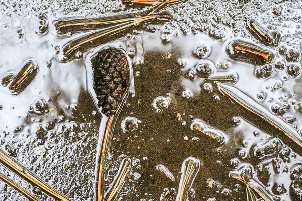 Yağmurdan sonra Sonbahar Gösterimler