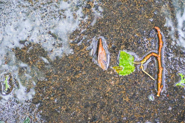 Herfst Impressies na de regen — Stockfoto