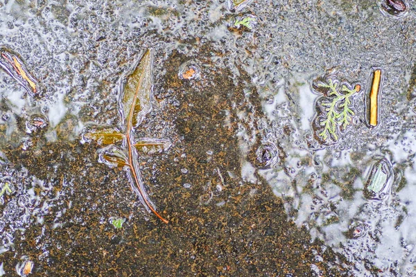 Yağmurdan sonra Sonbahar Gösterimler