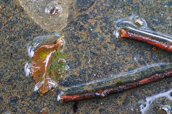 Yağmurdan sonra Sonbahar Gösterimler