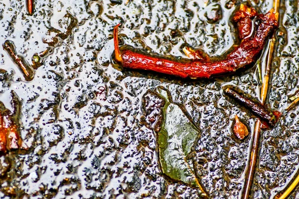 Yağmurdan sonra Sonbahar Gösterimler