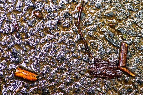 Yağmurdan sonra Sonbahar Gösterimler