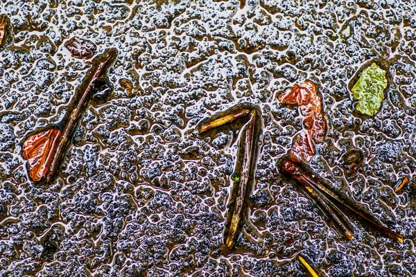 Yağmurdan sonra Sonbahar Gösterimler