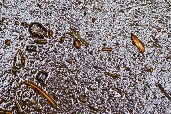 Yağmurdan sonra Sonbahar Gösterimler