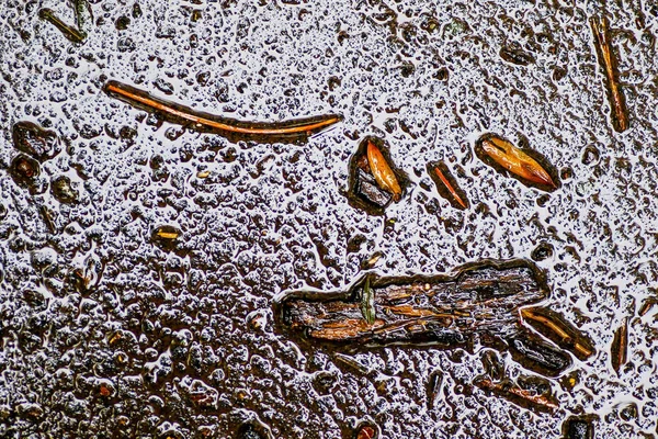 Yağmurdan sonra Sonbahar Gösterimler