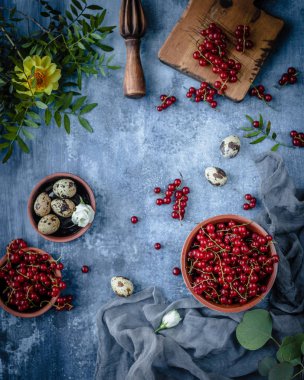 Composition with redcurrant berries and quail eggs clipart