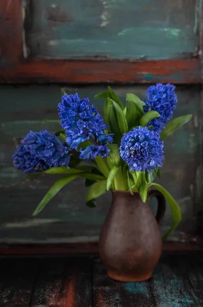 Kahverengi tencerede mavi sümbül çiçek