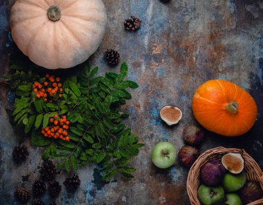Kabak, elma, rowan, pinecones ve incir