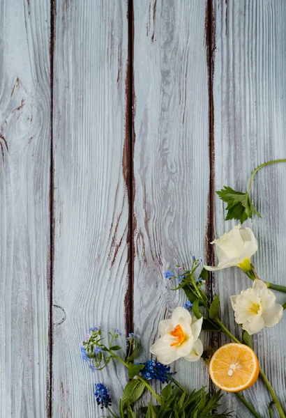 Flores blancas, amarillas y azules — Foto de Stock