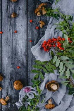 Mantar rowan çilek ve yeşil yaprakları ile