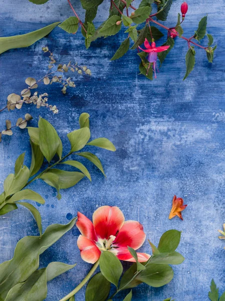 Kırmızı lale ve pembe çiçekler