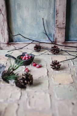 Pinecones, üzüm, dalları ve ağaç kabuğu 